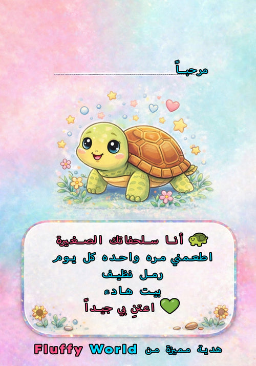 Turtle Starter Kit 🐢 – Calm & Easy Pet