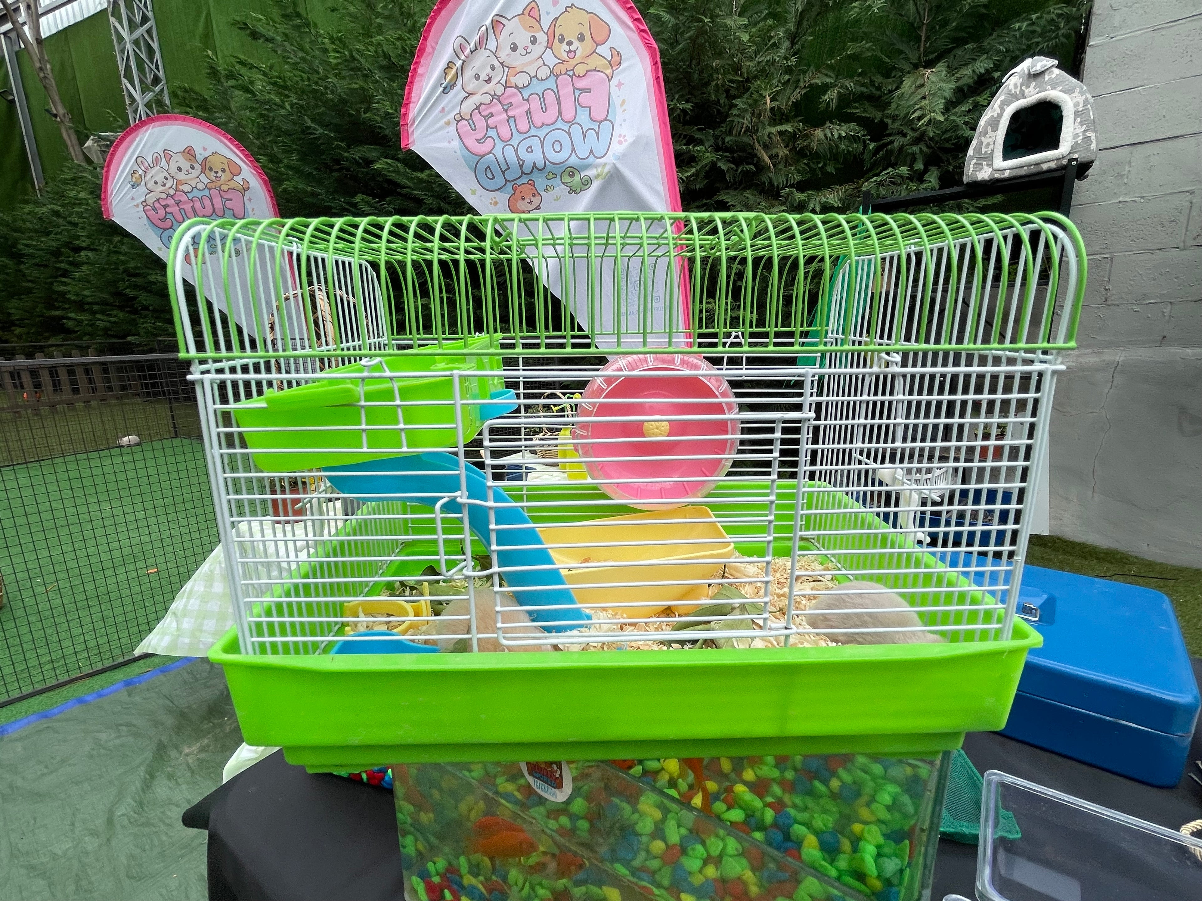 Hamster Starter Kit 🐹 – Cute & Easy Pet